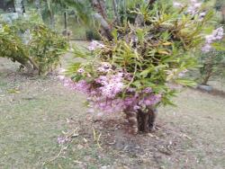 Fazenda para Venda em São José dos Campos - 3