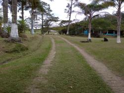  para  em  - 5