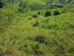 #TE1425 - Terreno para Venda em Jambeiro - SP - 3