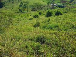 #TE1425 - Terreno para Venda em Jambeiro - SP - 2