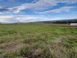 #TE1651 - Terreno para Venda em Caçapava - SP - 3