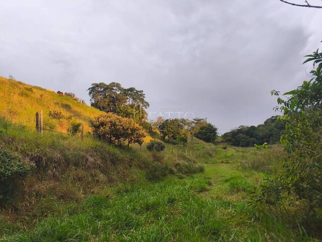 Área para Venda em São José dos Campos - 4