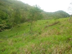 #CH1524 - Chácara para Venda em Monteiro Lobato - SP - 1
