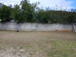 #2101 - Área para Venda em Ilhabela - SP - 2