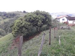 Sítio para Venda em Monteiro Lobato - 5