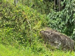 Sítio para Venda em São José dos Campos - 5